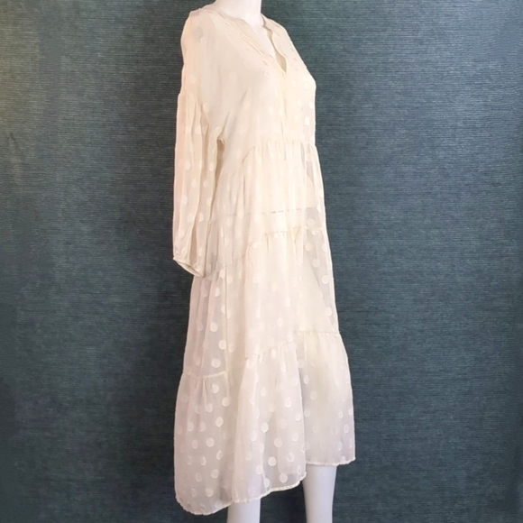 Moon River Sheer Polkadot Tiered Dress - Picture 1 of 13